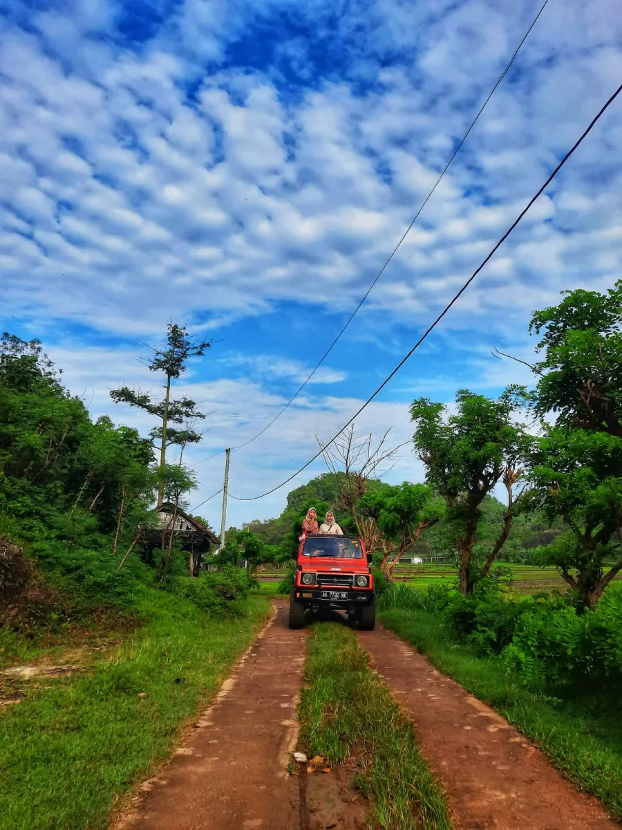 Jip merah membawa pengunjung menyusuri jalan desa menuju kawasan sawah